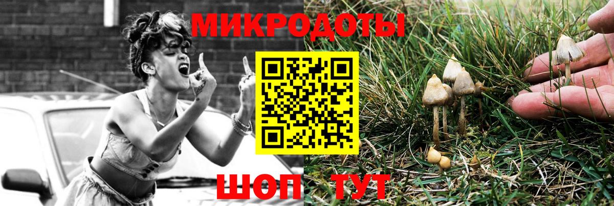 Псилоцибиновые грибы мухоморы  закладка  Вичуга  Галлюциногенные грибы Cubensis  Вход с VPN 